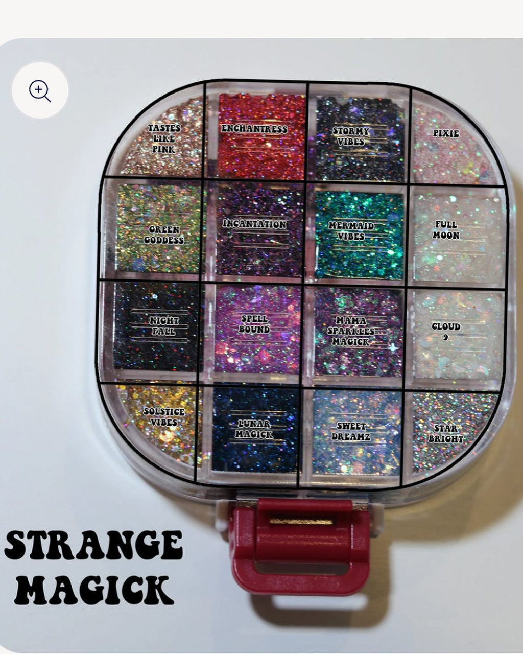 Glitter gel case 16 color fine eyeshadow