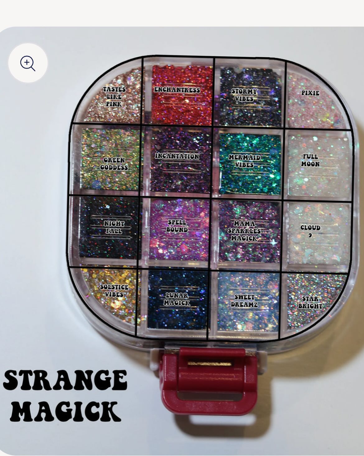 Glitter gel case 16 color fine eyeshadow