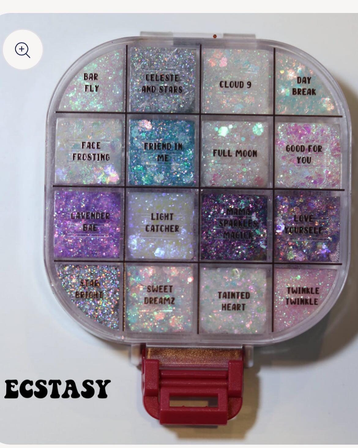 Glitter gel case 16 color fine eyeshadow